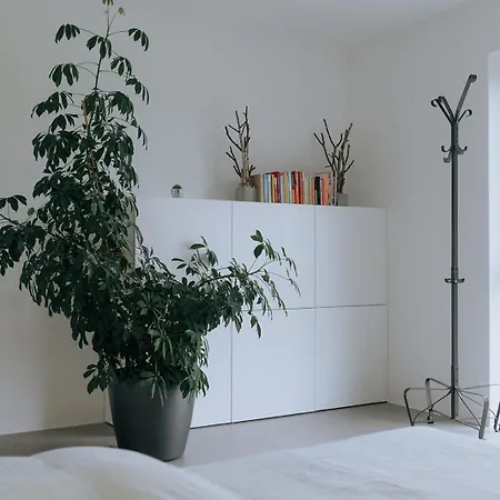 Vila Deluxe-naturhaus Zum Entspannen In Zentraler Lage Dietenhofen